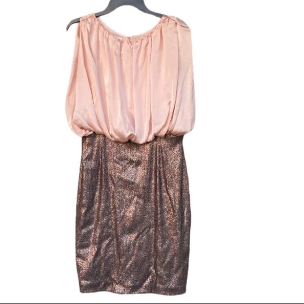 Suzi Chin for Maggy Boutique Evening Cocktail Mini Dress Size 10